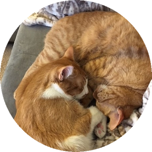 Testimonial image